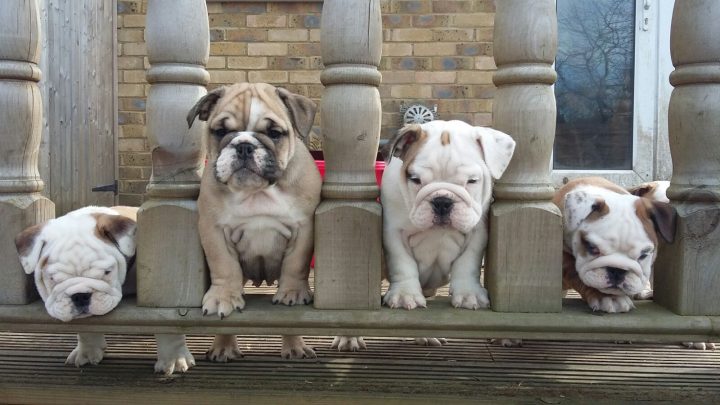 Photo 04-04-2016, 17 30 20