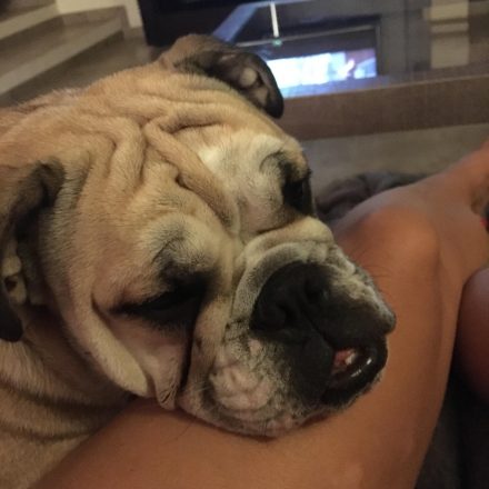 photo-11-11-2016-19-49-21