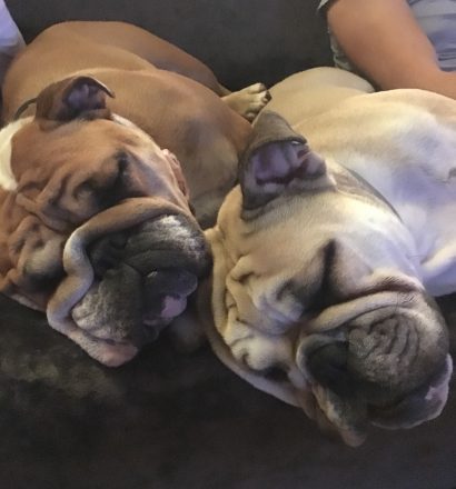 photo-18-11-2016-20-32-18